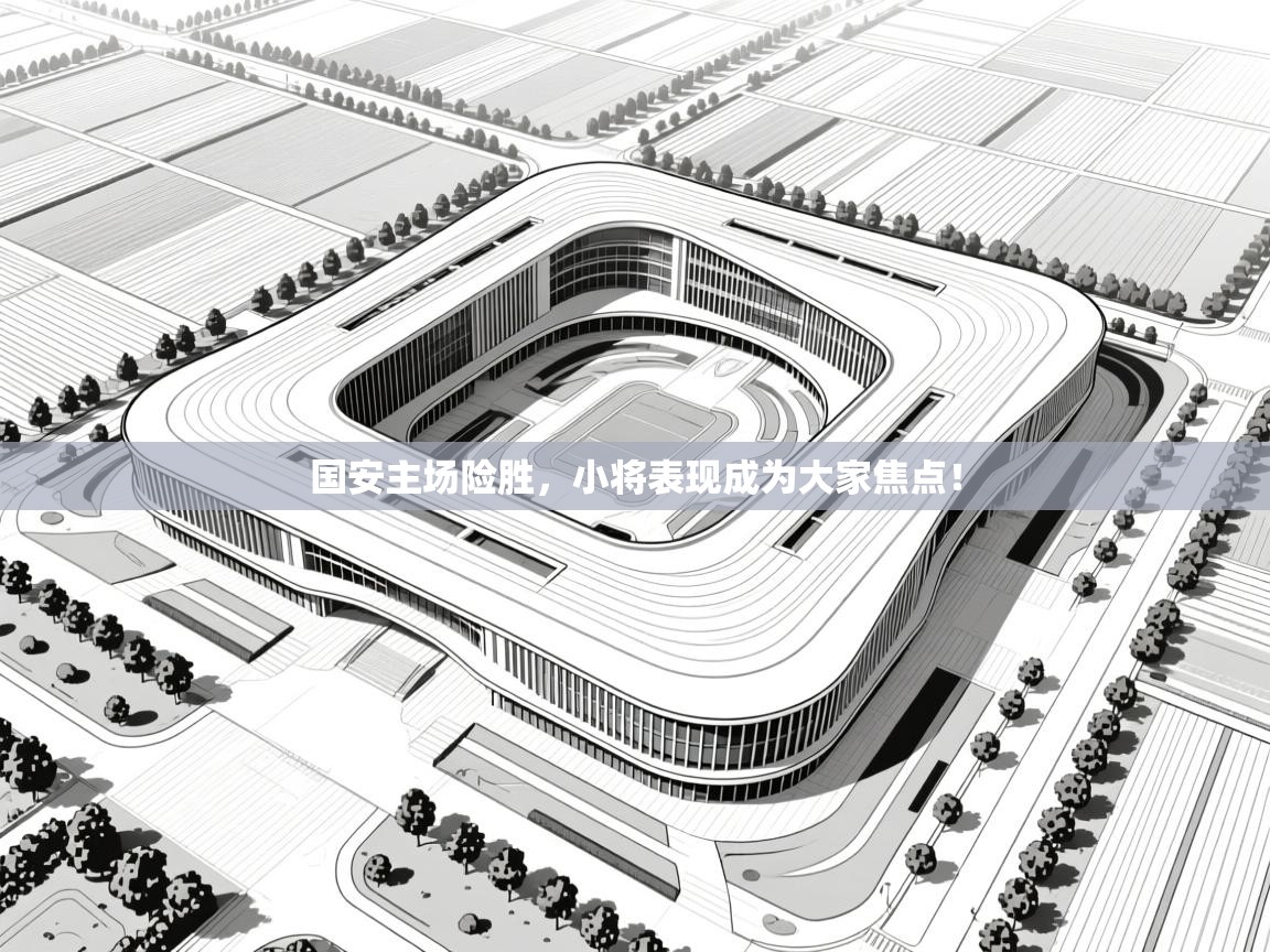 国安主场险胜，小将表现成为大家焦点！  第1张