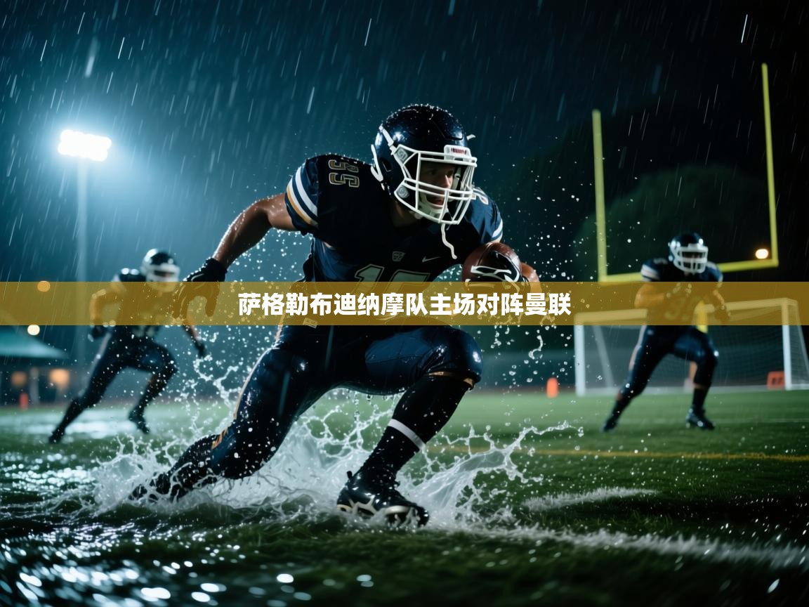 萨格勒布迪纳摩队主场对阵曼联  第2张