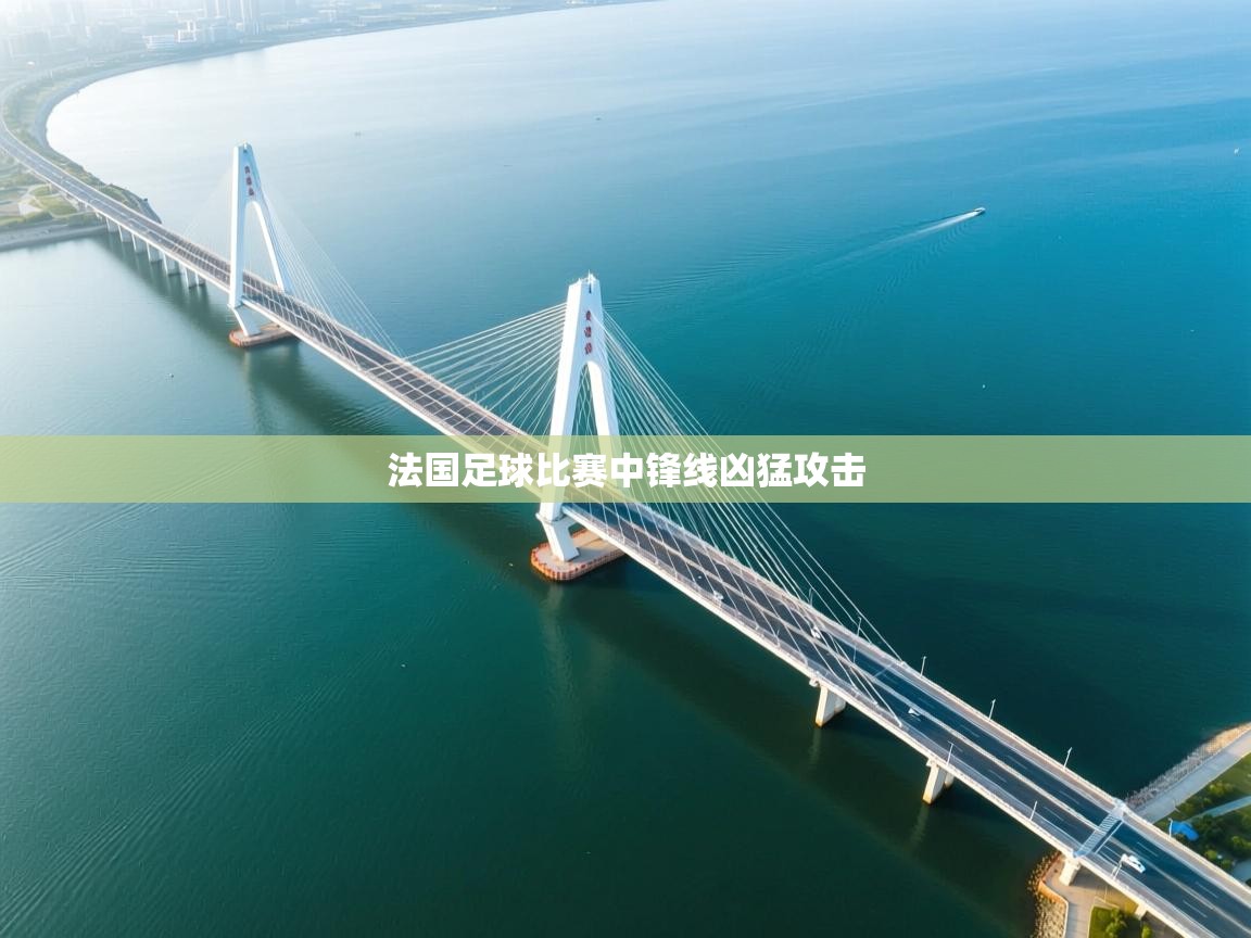 法国足球比赛中锋线凶猛攻击  第1张