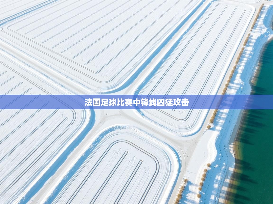 法国足球比赛中锋线凶猛攻击  第2张