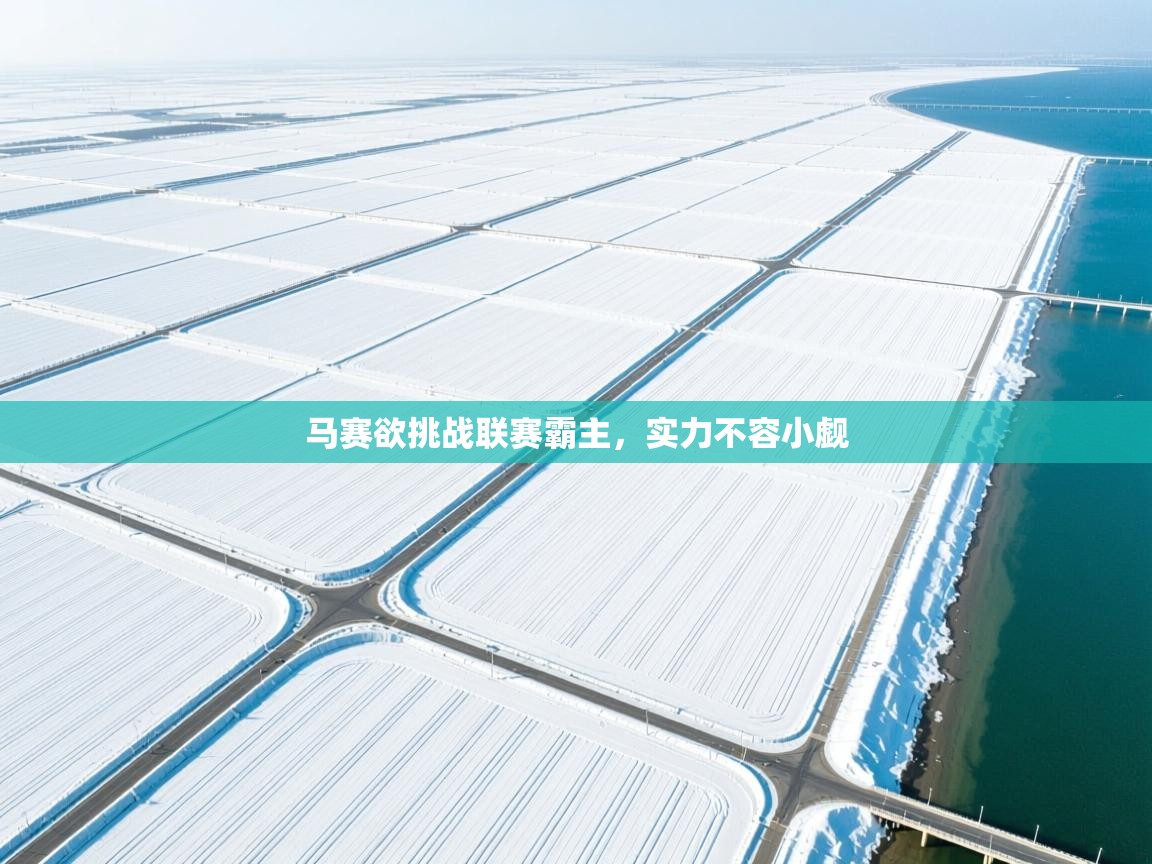 马赛欲挑战联赛霸主，实力不容小觑  第1张