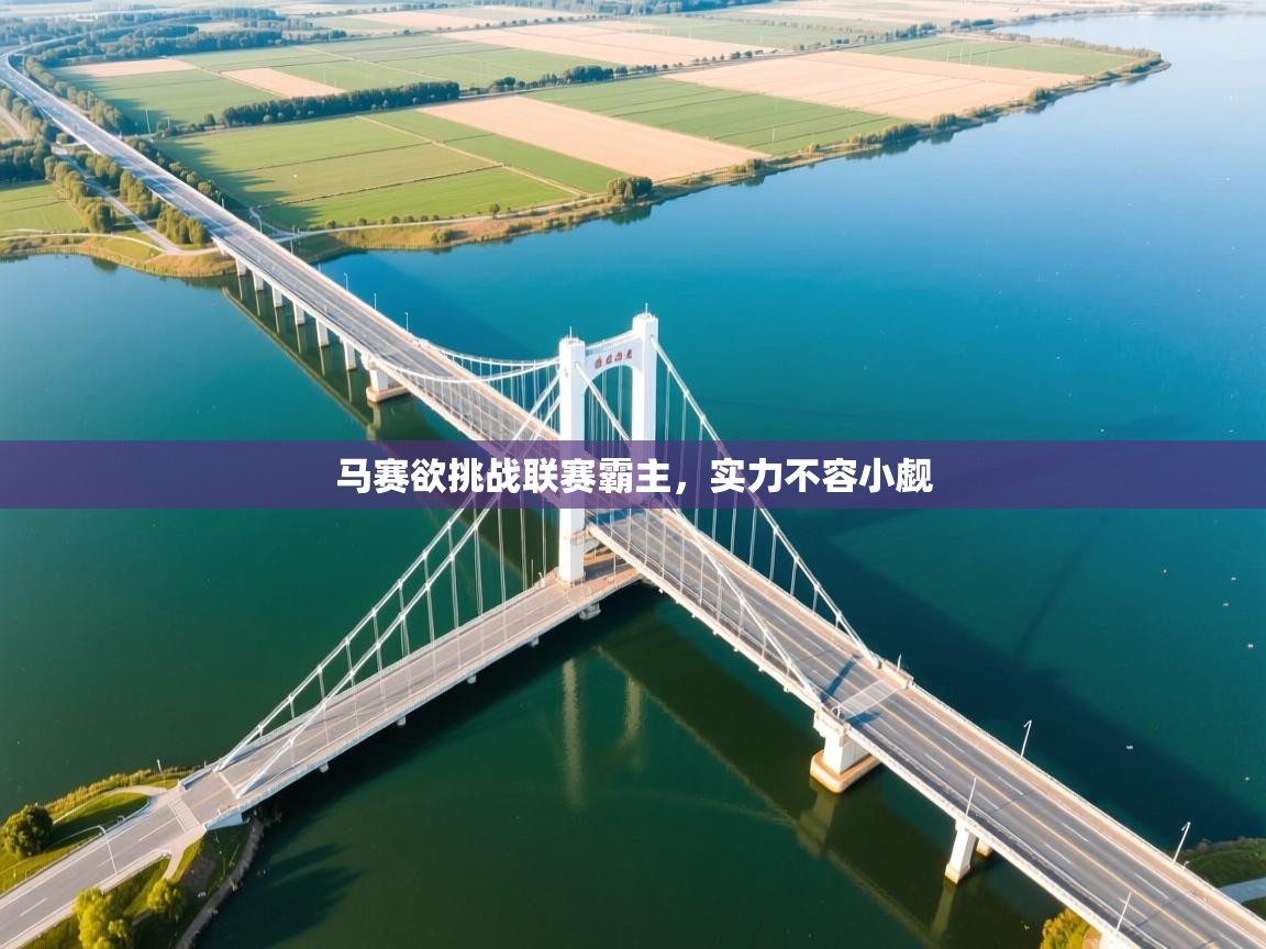 马赛欲挑战联赛霸主，实力不容小觑  第2张