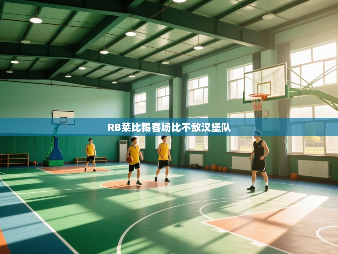 RB莱比锡客场比不敌汉堡队 第1张