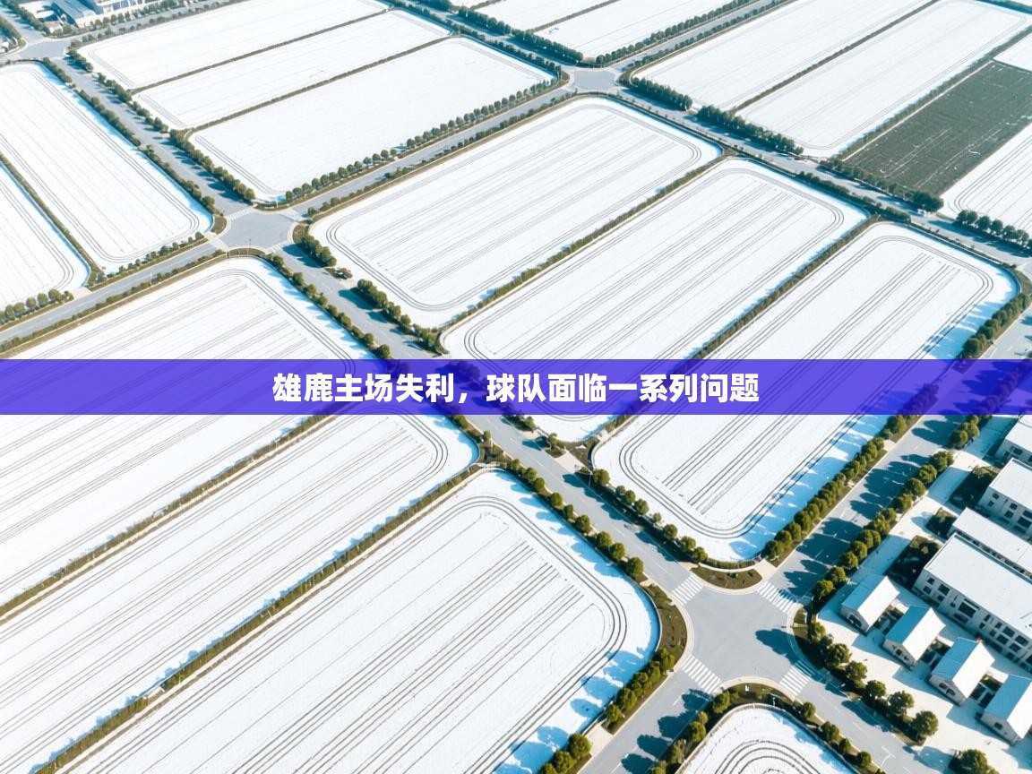 雄鹿主场失利,球队面临一系列问题 第2张