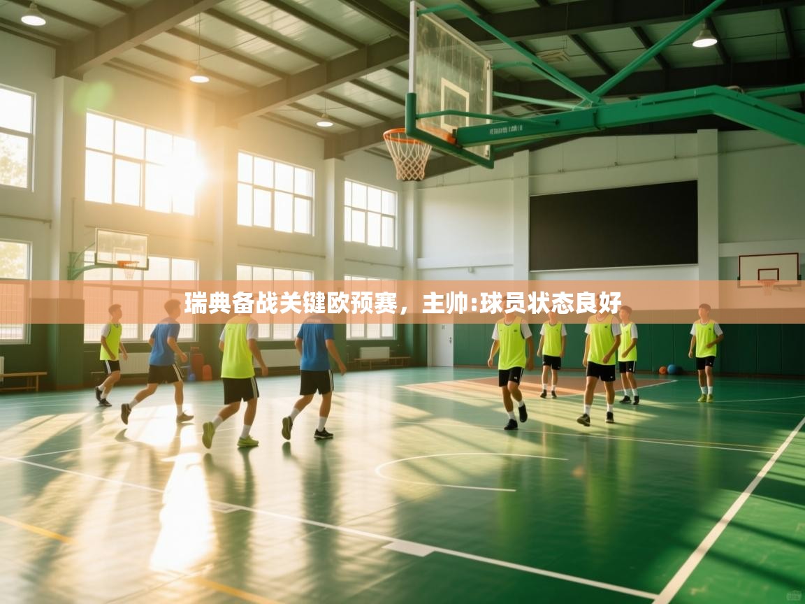 瑞典备战关键欧预赛，主帅:球员状态良好  第1张