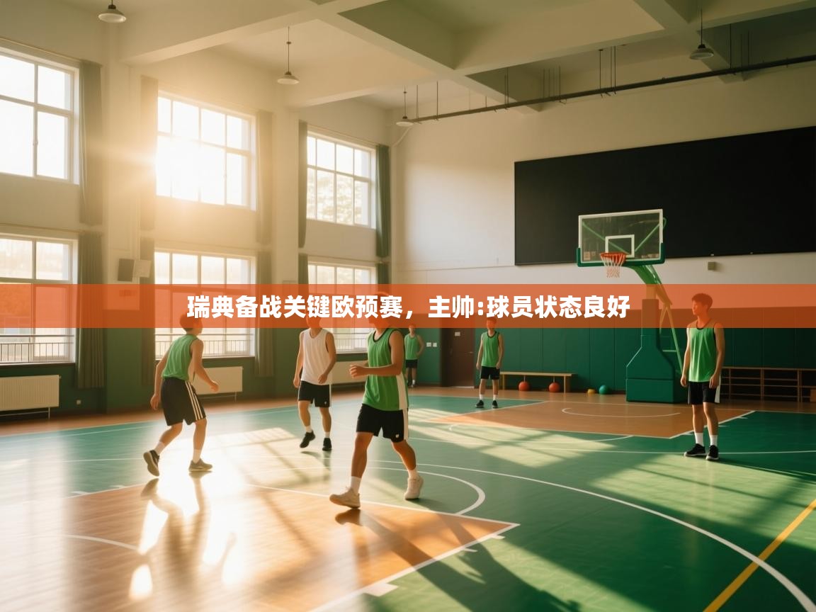 瑞典备战关键欧预赛，主帅:球员状态良好  第2张