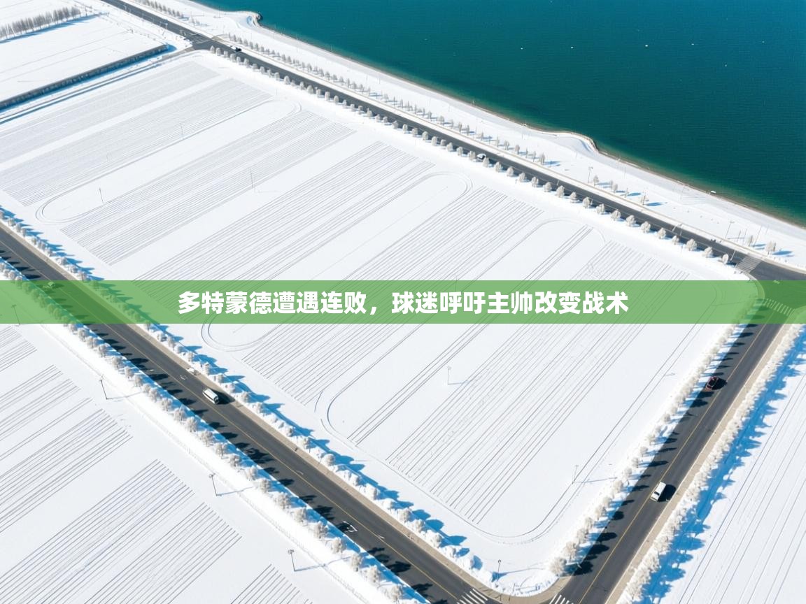 多特蒙德遭遇连败，球迷呼吁主帅改变战术  第1张