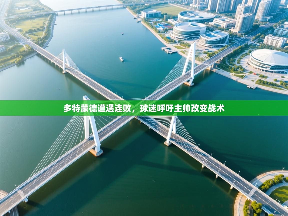 多特蒙德遭遇连败，球迷呼吁主帅改变战术  第2张